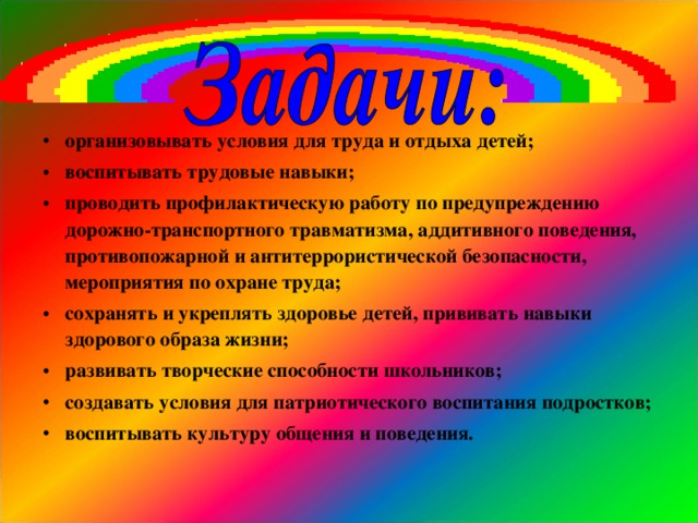 организовывать условия для труда и отдыха детей; воспитывать трудовые навыки; проводить профилактическую работу по предупреждению дорожно-транспортного травматизма, аддитивного поведения, противопожарной и антитеррористической безопасности, мероприятия по охране труда; сохранять и укреплять здоровье детей, прививать навыки здорового образа жизни; развивать творческие способности школьников; создавать условия для патриотического воспитания подростков; воспитывать культуру общения и поведения.  