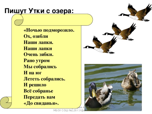Пишут Утки с озера: «Ночью подморозило. Ох, озябли Наши лапки. Наши лапки Очень зябки. Рано утром Мы собрались И на юг Лететь собрались. И решило Всё собранье Передать вам «До свиданья». Гильманова Зульфия Анваровна, МБОУ СОШ №126 г.Уфа 