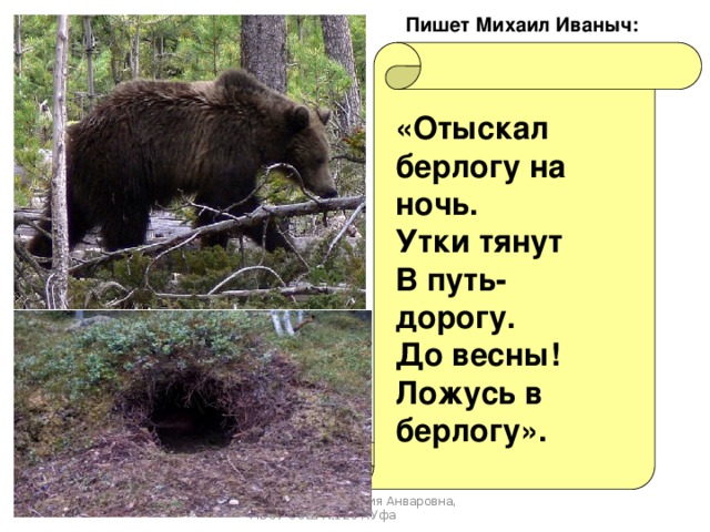 Пишет Михаил Иваныч: «Отыскал берлогу на ночь. Утки тянут В путь-дорогу. До весны! Ложусь в берлогу». Гильманова Зульфия Анваровна, МБОУ СОШ №126 г.Уфа 