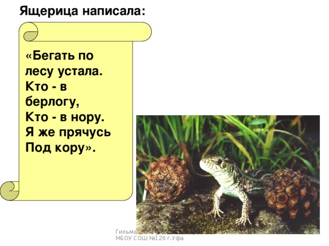Ящерица написала:  «Бегать по лесу устала. Кто - в берлогу, Кто - в нору. Я же прячусь Под кору». Гильманова Зульфия Анваровна, МБОУ СОШ №126 г.Уфа 