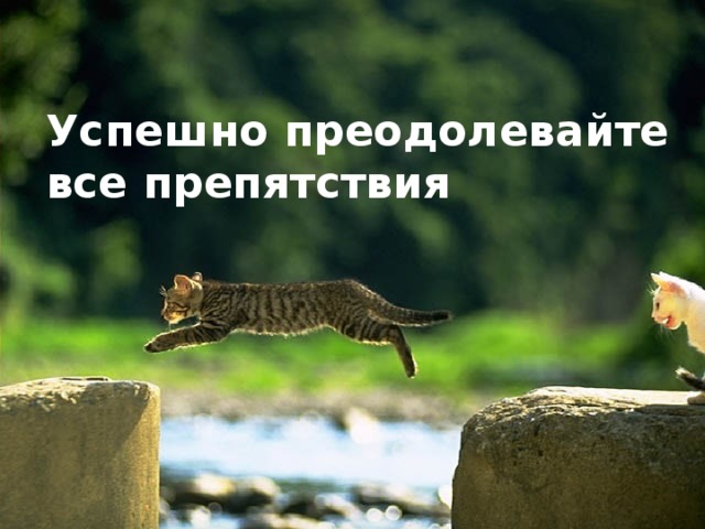 Все преодолеем картинки