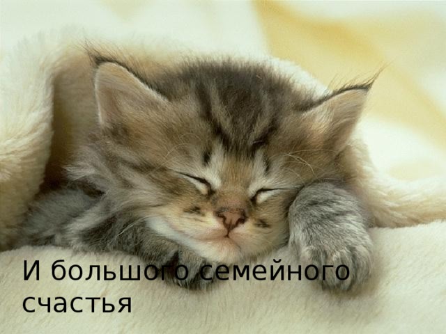 И большого семейного счастья Отрада глаз, души очарование, 