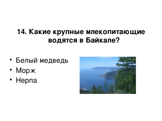 14. Какие крупные млекопитающие водятся в Байкале?  Белый медведь Морж Нерпа 