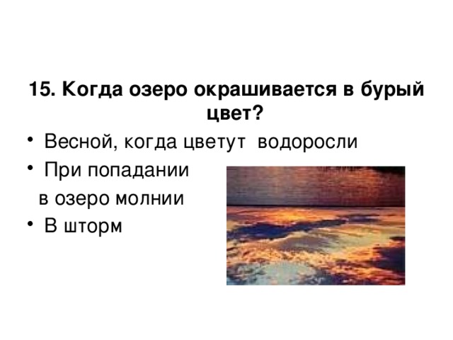 15. Когда озеро окрашивается в бурый цвет? Весной, когда цветут водоросли При попадании  в озеро молнии В шторм 