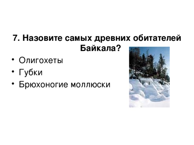 7. Назовите самых древних обитателей  Байкала? Олигохеты Губки Брюхоногие моллюски 