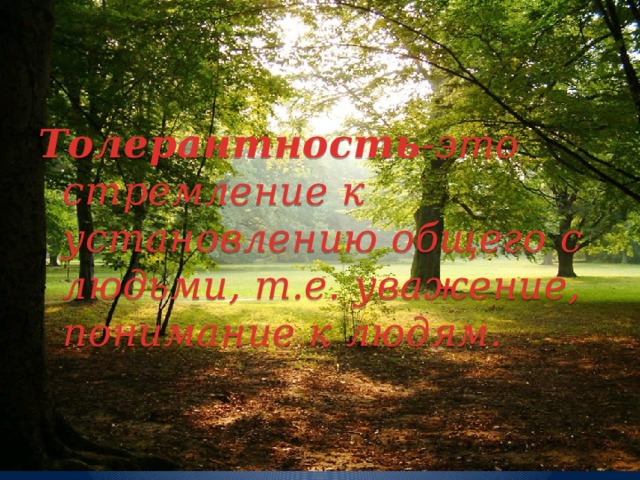 Толерантность -это стремление к установлению общего с людьми, т.е. уважение, понимание к людям. 
