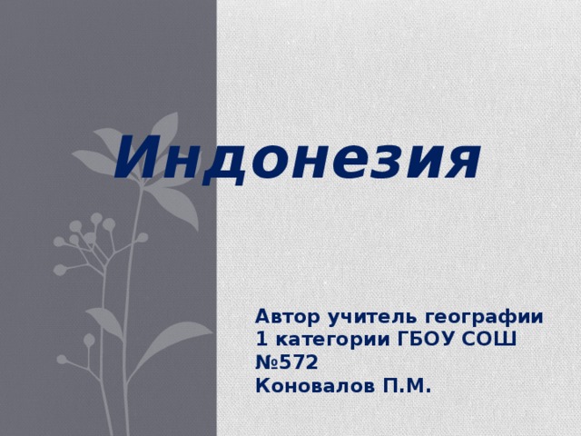   Индонезия  Автор учитель географии 1 категории ГБОУ СОШ №572 Коновалов П.М. 