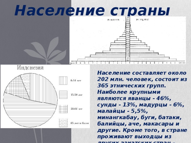 Население страны Население составляет около 202 млн. человек, состоит из 365 этнических групп. Наиболее крупными являются яванцы - 46%, сунды - 13%, мадурцы - 6%, малайцы - 5,5%, минангкабау, буги, батаки, балийцы, аче, макасары и другие. Кроме того, в стране проживают выходцы из других азиатских стран - китайцы (более 4 млн. чел.), арабы, индийцы и др. 