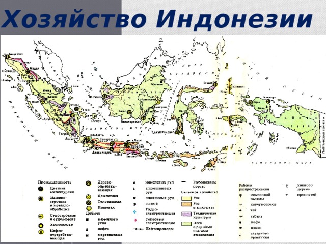 Хозяйство Индонезии 