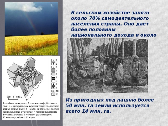 В сельском хозяйстве занято около 70% самодеятельного населения страны. Оно дает более половины национального дохода и около 70% всех инвалютных поступлений от экспортной выручки. Из пригодных под пашню более 50 млн. га земли используется всего 14 млн. га. 