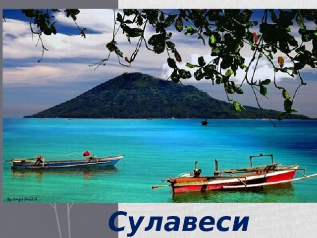 Сулавеси 