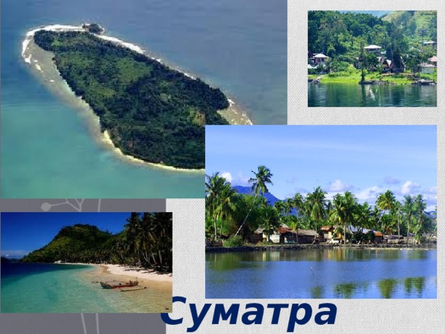 Суматра 