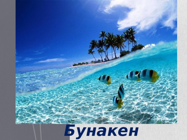 Бунакен 