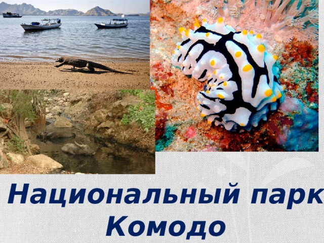 Национальный парк Комодо 