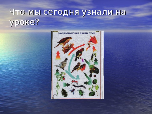 Что мы сегодня узнали на уроке? 