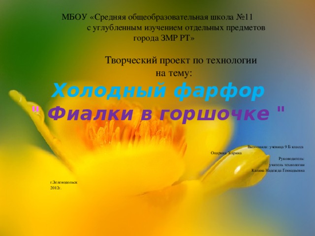 МБОУ «Средняя общеобразовательная школа №11  с углубленным изучением отдельных предметов  города ЗМР РТ»     Творческий проект по технологии  на тему:  Холодный фарфор  