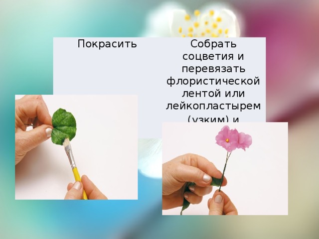 Покрасить Собрать соцветия и перевязать флористической лентой или лейкопластырем (узким) и покрасить 