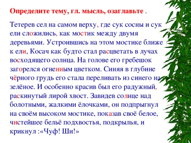 Земля как будто стала шире. Тема стихотворения земля как будто стала шире гамзатов тема.
