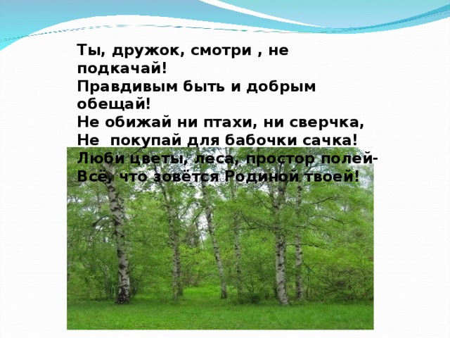 Ты, дружок, смотри , не подкачай! Правдивым быть и добрым обещай! Не обижай ни птахи, ни сверчка, Не покупай для бабочки сачка! Люби цветы, леса, простор полей- Всё, что зовётся Родиной твоей!   