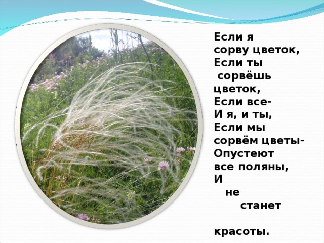 Если я сорву цветок, Если ты  сорвёшь цветок, Если все- И я, и ты, Если мы сорвём цветы- Опустеют все поляны, И  не  станет  красоты.  