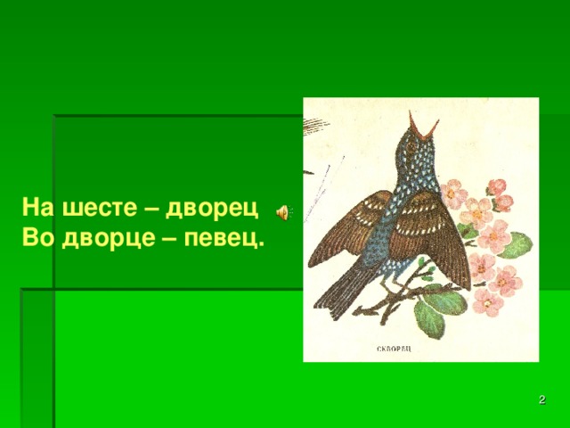 На шесте – дворец Во дворце – певец.   