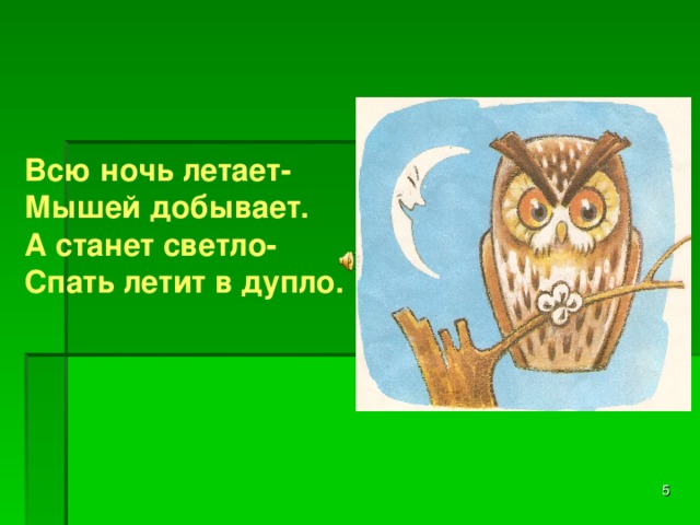 Всю ночь летает- Мышей добывает. А станет светло- Спать летит в дупло.   