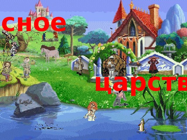 Лесное   царство! 