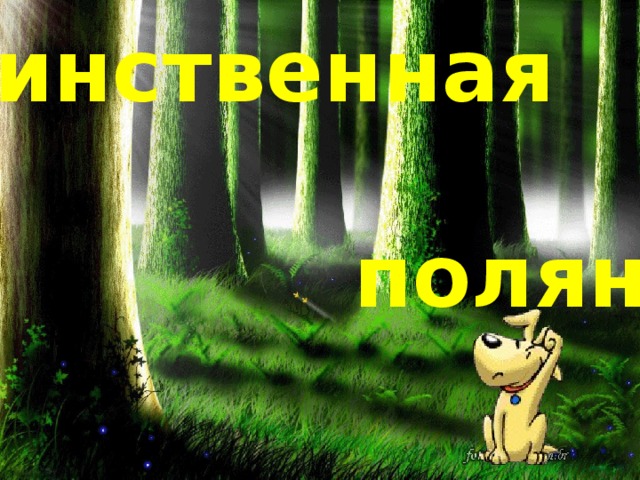 Таинственная   поляна! 