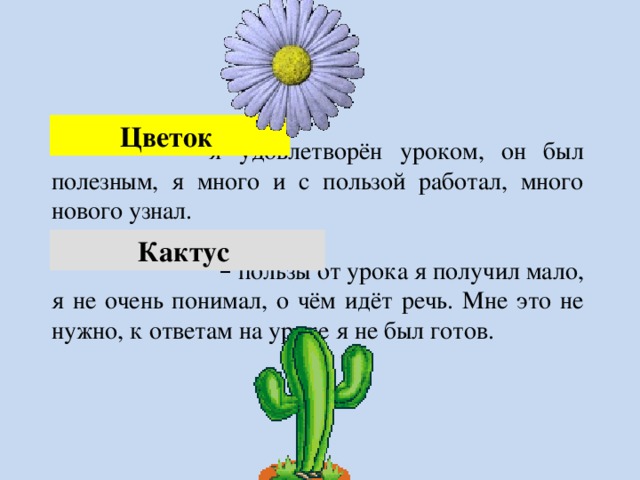 Цветок      –  я удовлетворён уроком, он был полезным, я много и с пользой работал, много нового узнал.     –  пользы от урока я получил мало, я не очень понимал, о чём идёт речь. Мне это не нужно, к ответам на уроке я не был готов. Кактус  
