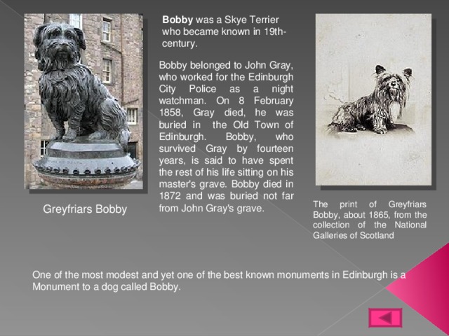 Bobby was a Skye Terrier who became known in 19th-century. Bobby belonged to John Gray, who worked for the Edinburgh City Police as a night watchman. On 8 February 1858, Gray died, he was buried in the Old Town of Edinburgh. Bobby, who survived Gray by fourteen years, is said to have spent the rest of his life sitting on his master's grave. Bobby died in 1872 and was buried not far from John Gray's grave. The print of Greyfriars Bobby, about 1865, from the collection of the National Galleries of Scotland Greyfriars Bobby One of the most modest and yet one of the best known monuments in Edinburgh is a Monument to a dog called Bobby. 