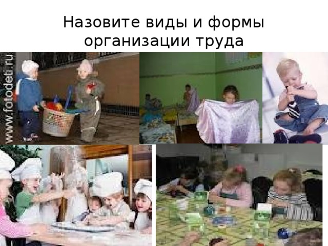 Назовите виды и формы организации труда  