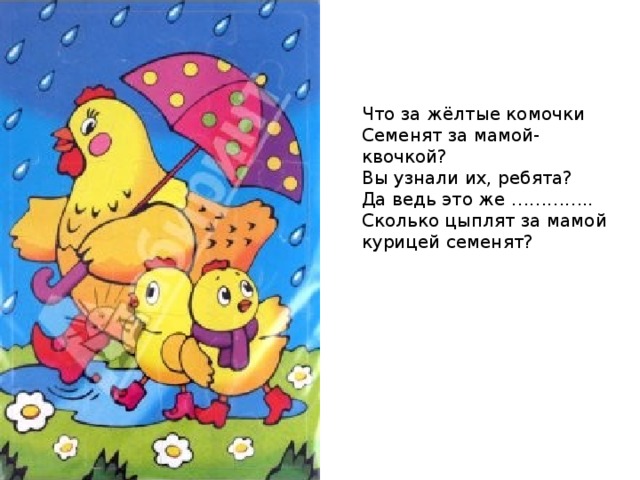 Что за жёлтые комочки  Семенят за мамой-квочкой?  Вы узнали их, ребята?  Да ведь это же ………….. Сколько цыплят за мамой курицей семенят? 