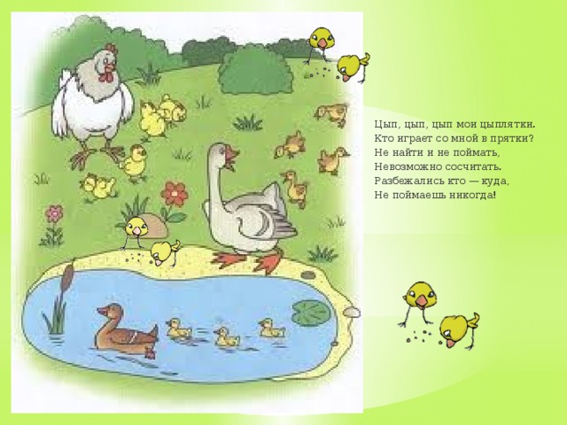 Цып, цып, цып мои цыплятки. Кто играет со мной в прятки? Не найти и не поймать, Невозможно сосчитать. Разбежались кто — куда, Не поймаешь никогда! 