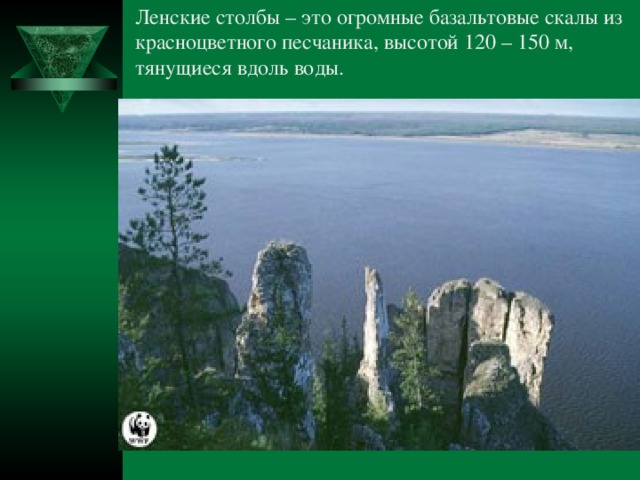 Ленские столбы – это огромные базальтовые скалы из красноцветного песчаника, высотой 120 – 150 м, тянущиеся вдоль воды. 