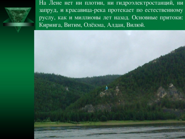 Вилюй к какому бассейну океана относится. Притоки Витим. Тип реки Вилюй. Русло реки Витим. Высота истока Вилюй.