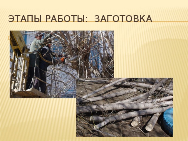 Этапы работы: Заготовка Заготовка 