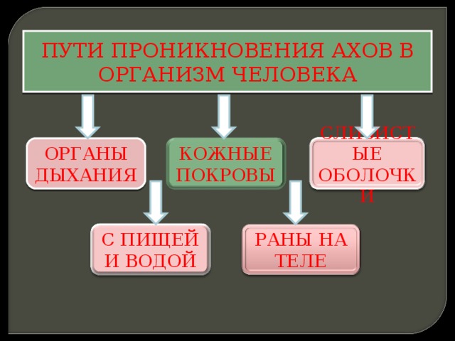 Пути проникновения опасных химических веществ