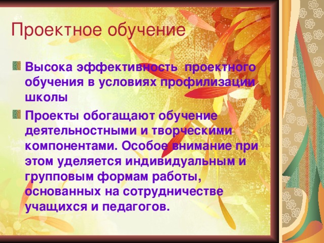 Проектное обучение Высока эффективность проектного обучения в условиях профилизации школы Проекты обогащают обучение деятельностными и творческими компонентами. Особое внимание при этом уделяется индивидуальным и групповым формам работы, основанных на сотрудничестве учащихся и педагогов. 