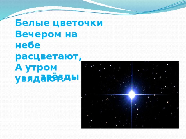 Белые цветочки Вечером на небе расцветают, А утром увядают. звёзды 