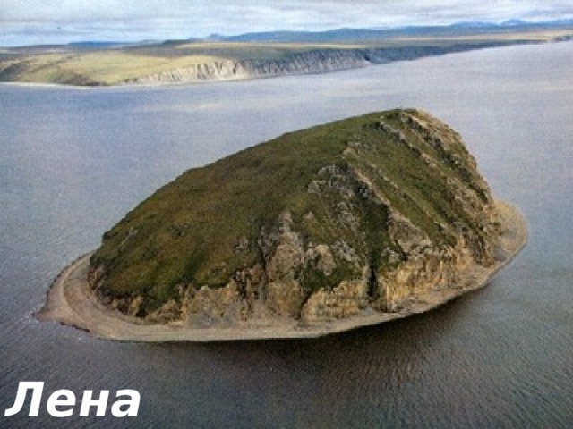 Лена 