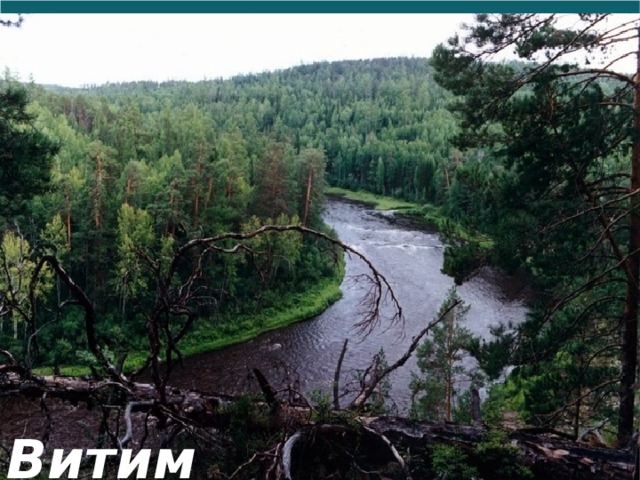 Витим 