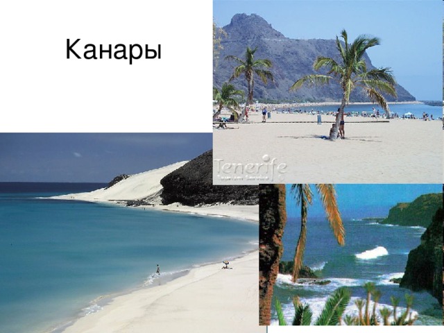 Канары 