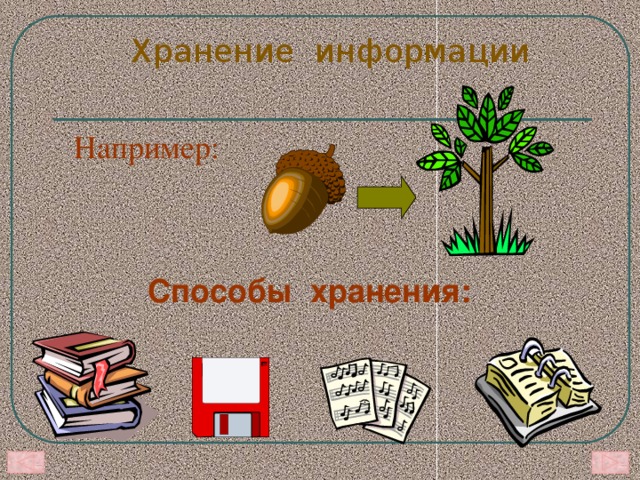 Хранение информации примеры