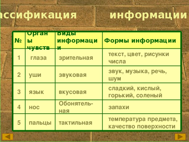 Схемы классификации документной информации