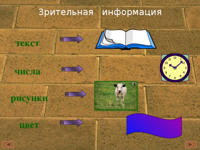 Зрительная информация. Зрительная информация картинки. Зрительная информация 2 класс. Зрительная информация пример рисунок.