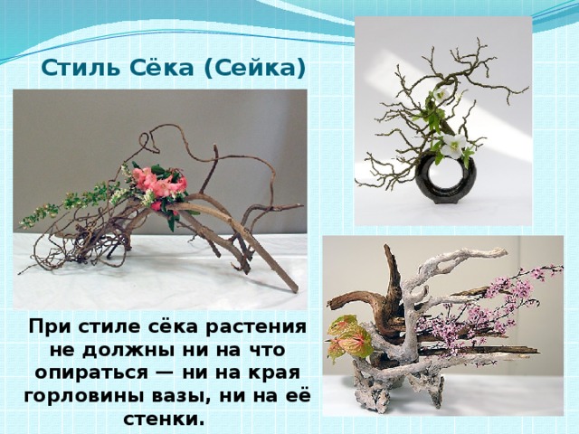 Стиль Сёка (Сейка) При стиле сёка растения не должны ни на что опираться — ни на края горловины вазы, ни на её стенки.   
