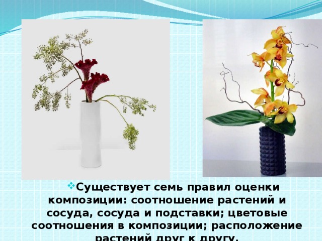 Существует семь правил оценки композиции: соотношение растений и сосуда, сосуда и подставки; цветовые соотношения в композиции; расположение растений друг к другу. 