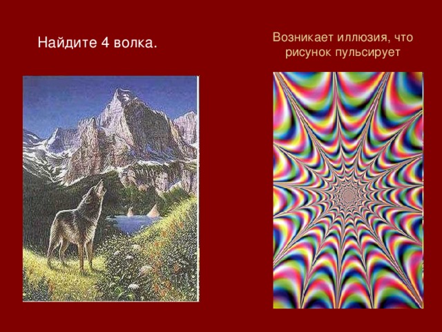 Возникает иллюзия, что рисунок пульсирует Найдите 4 волка. 