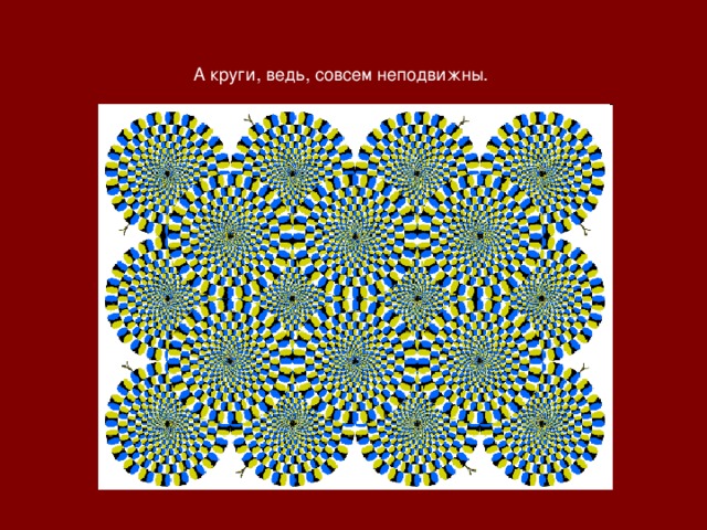 А круги, ведь, совсем неподвижны. 