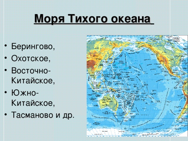 Моря Тихого океана  Берингово, Охотское, Восточно-Китайское, Южно-Китайское, Тасманово и др. 